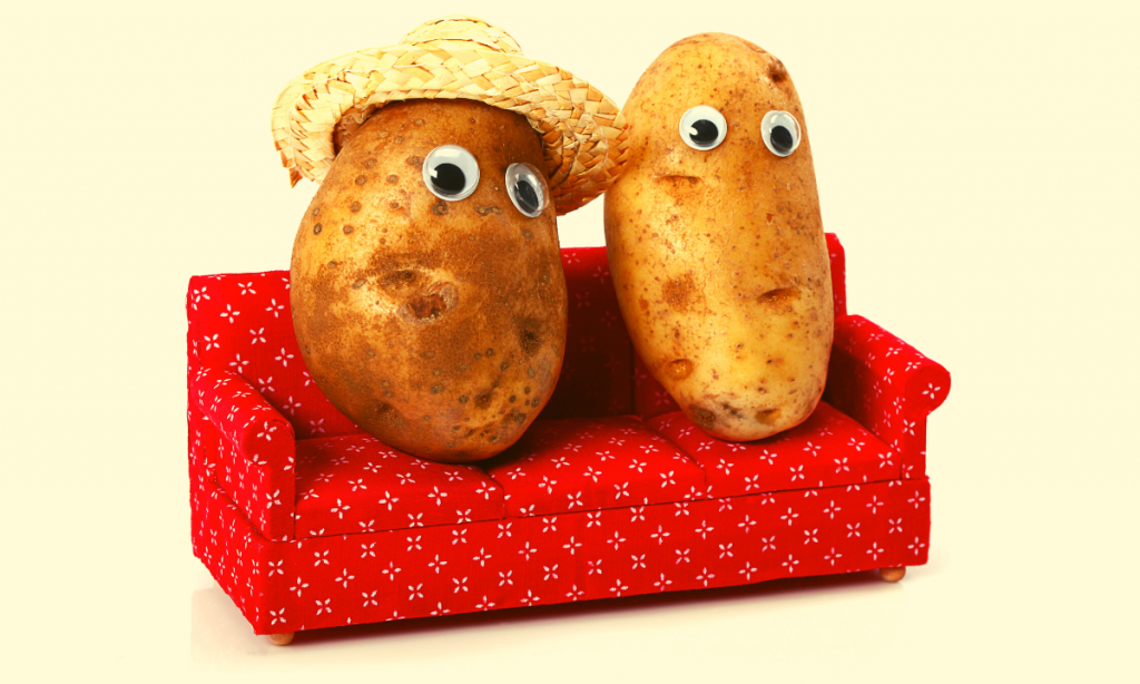 Two potatoes on a couch that's about to be disinfected.