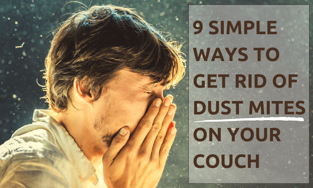 A man holds his hands to his face as he sneezes with his eyes closed. Text reads: "9 Simple Ways To Get Rid Of Dust Mites On Your Couch."