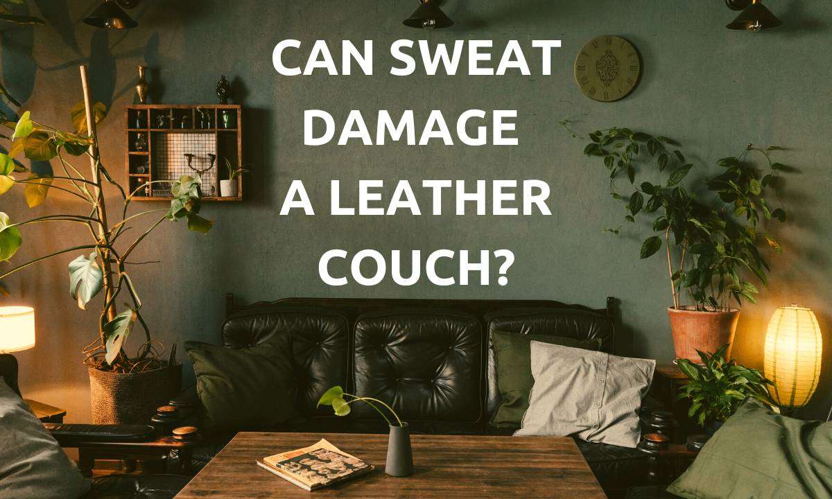 Black leather couch in a living room with a dark green wall behind it. Text reads, "Can Sweat Damage A Leather Couch?"
