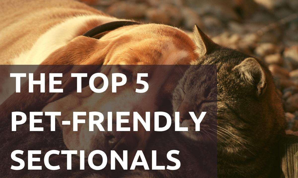 A dog and cat snuggling on a couch. Text reads: "The Top 5 Pet-Friendly Sectionals."